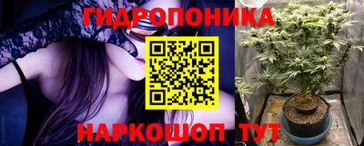 шишки Волгодонск