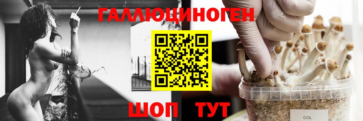 Канабис  Борзя  Alpha-PVP СОЛЬ кристаллы  ГАШИШ  Вход с VPN  Меф МЯУ МЯУ   КОКАИН 