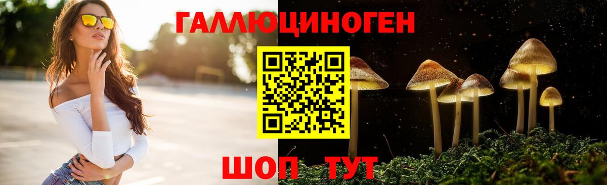 Галлюциногенные грибы Psilocybe Борзя